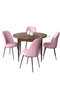 Hanah Home Juego de Mesa y Sillas de Comedor 5 Piezas Barroco Rosa Tablero Partículas Melaminado Patas Metal